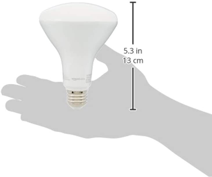 Basics 65W Equivalent, Soft White, Dimmable, 10,000 Hour Lifetime, BR30 LED Light Bulb | 6-Pack