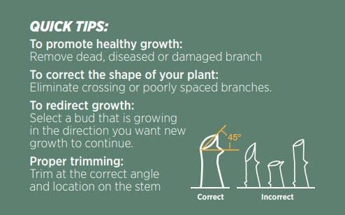 Garden Power Premium Heavy Duty Rachet Pruning Shears, Professional Hand Pruner Garden Tool, Ergonomic Grip, 8 Inch yard clippers, Quality Carbon Steel with Ratchet Mechanism, ideal for women, senior