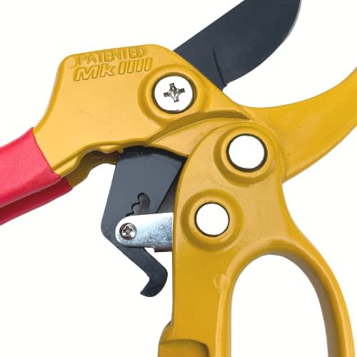Ratchet Pruners, Garden Secateurs, Hand Tool, Gardening Gift, Pruning Shears, Best-In-Class