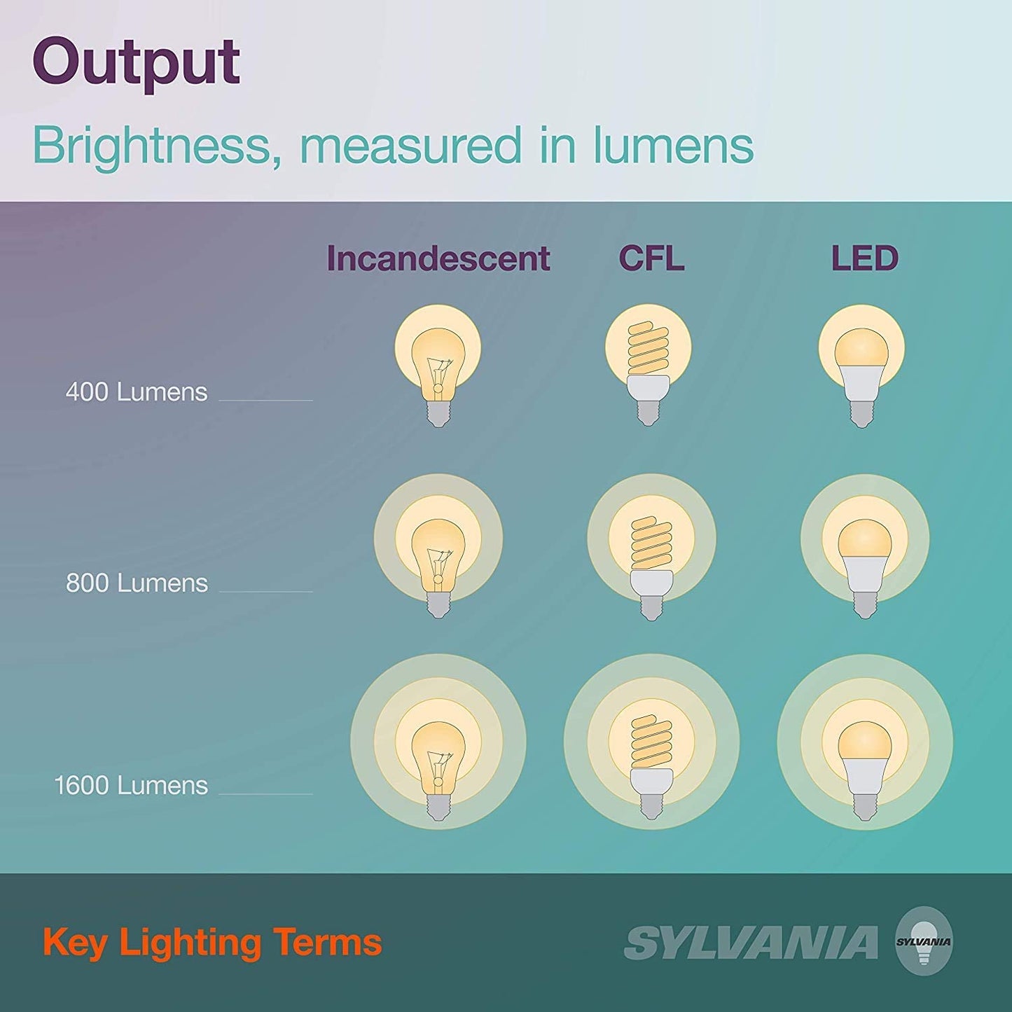 13W CFL T2 Spiral Light Bulb, 60W Equivalent, 850 Lumens, 2700K Soft White, Non-Dimmable (8-Pack)