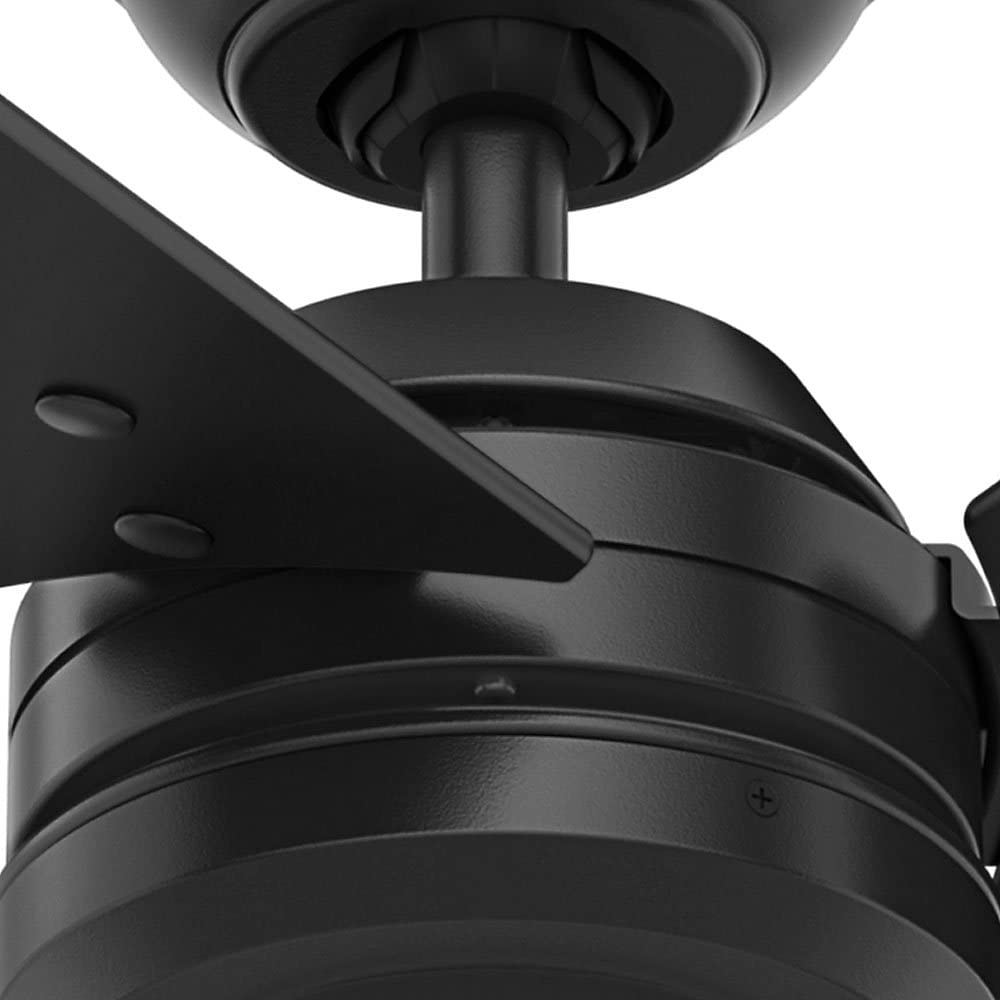 Hunter Cassius Indoor / Outdoor Ceiling Fan with Pull Chain Control, 52", Matte Black