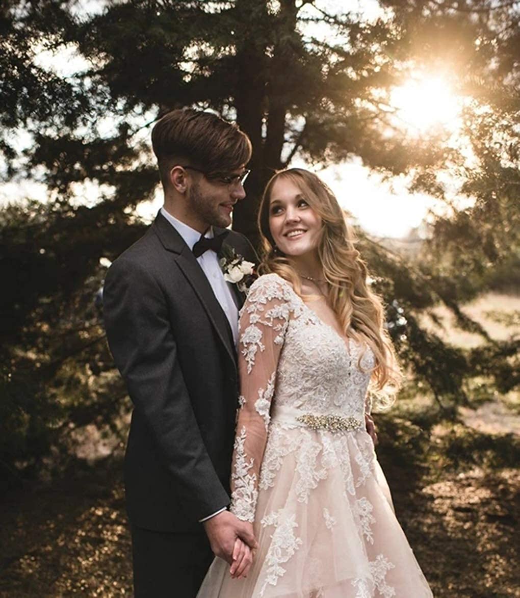See Through Long Sleeve Applique Wedding Dresses Double V Neck Ruffled Organza Bridal Dress for Bride