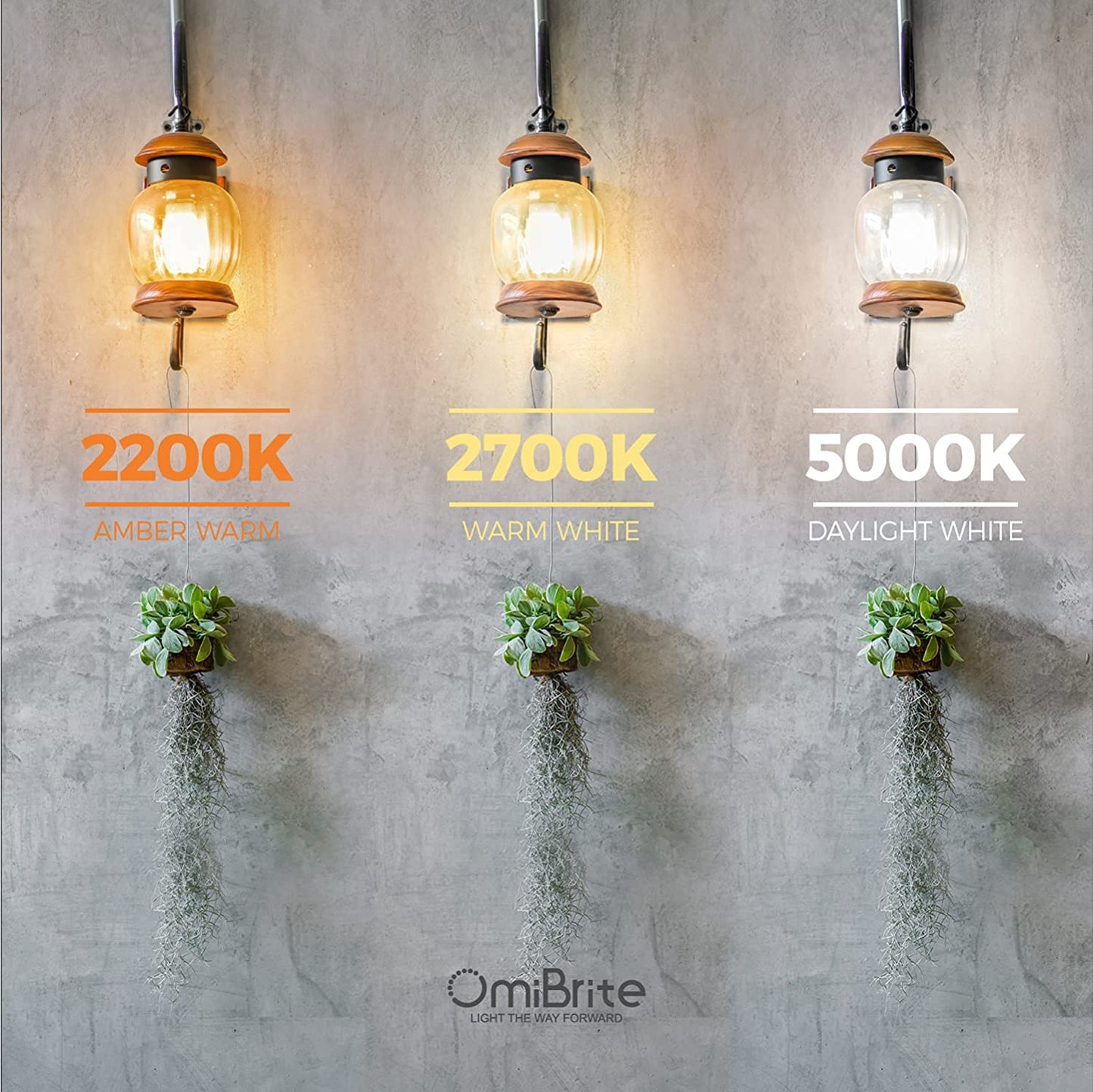 OmiBrite Edison Led Light Bulbs, Vintage Bright Light Bulbs 60 Watt Equivalent, Non-dimmable Incandescent Daylight Bulbs, Bright Daylight 5000K, CRI 90 Eye Protection, E26/E27 Base, ST64 (6 Pack)
