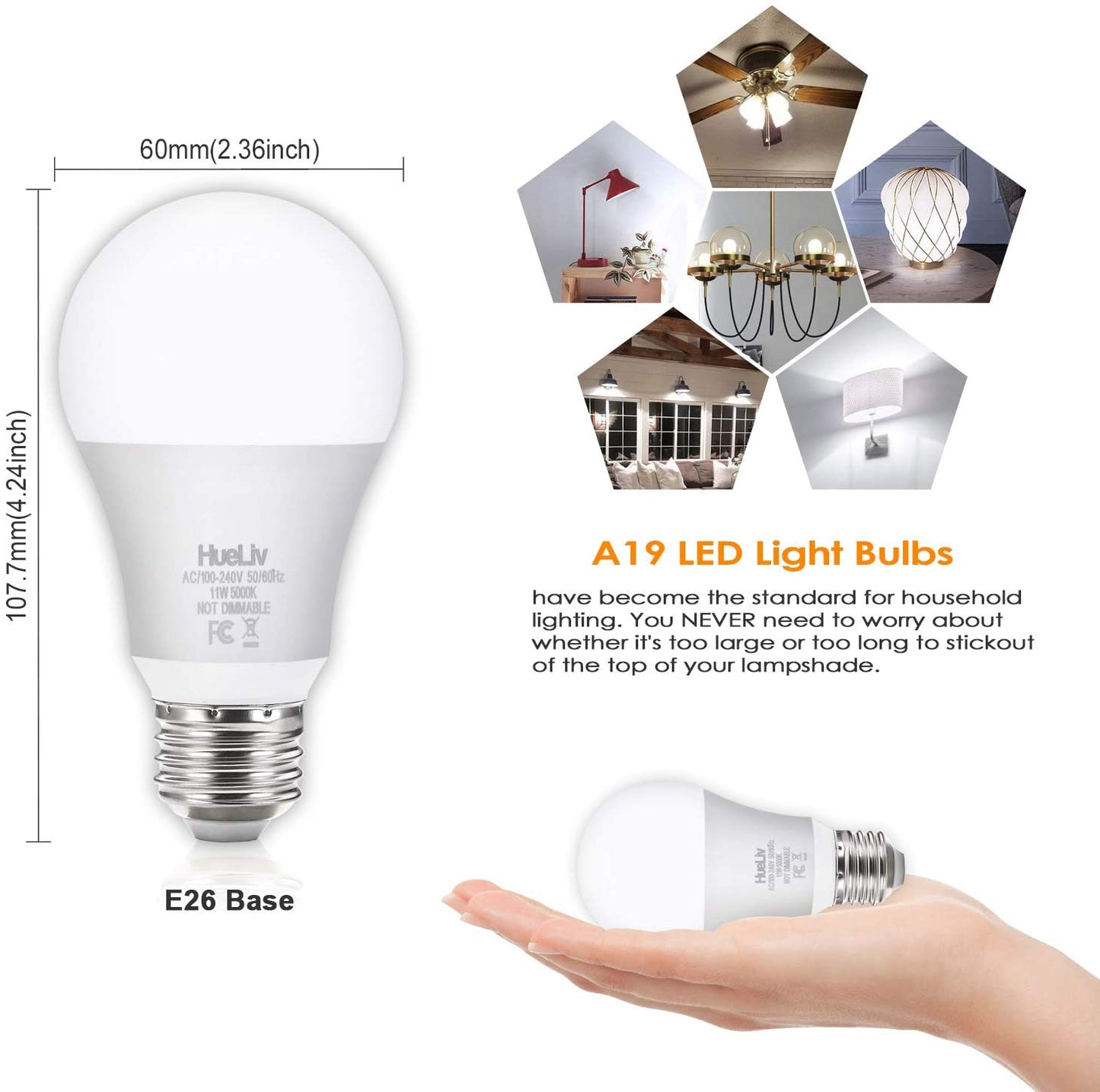 12Pack A19 LED Light Bulbs 100 Watt Equivalent 5000K Daylight White, No Flicker E26 Medium Screw Base Bulbs, 1100Lumens, Non Dimmable