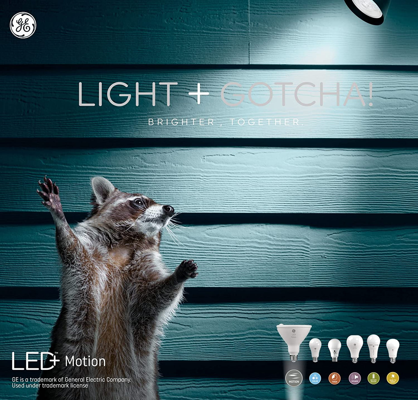 LED+ Outdoor Security Light Bulbs with Motion Sensors, Warm White, Medium Base (Pack of 2)