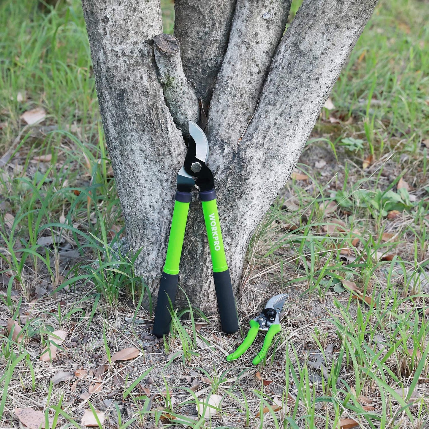 Limb and Branch Pruner Tool Set, Heat-Treated Steel Construction with Non-Stick Teflon-Coated Blades, Comfortable Nylon Grips, On/Off Lock, (2 piece)